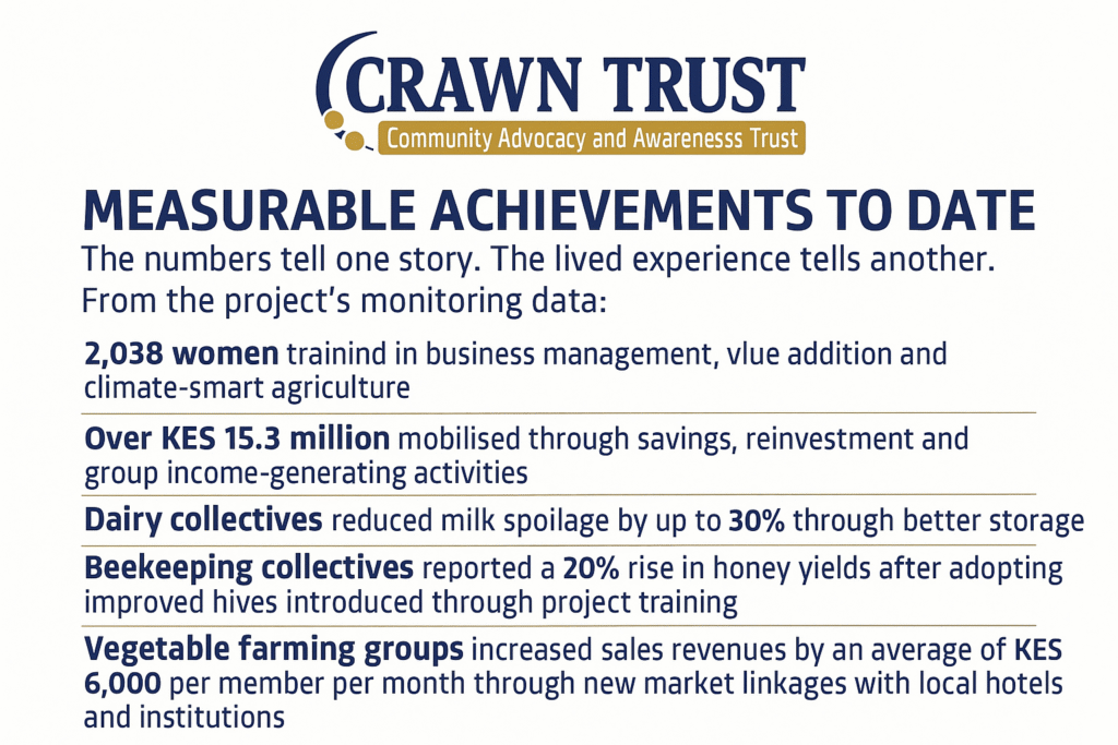 WEE Project Achievements Infographic